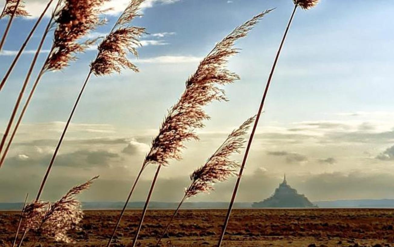 Faire rayonner la Manche